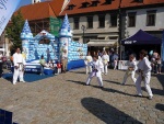 Městečko řešení – Prachatice 9.9.2009